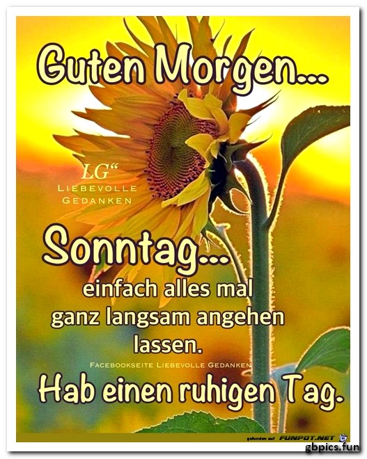 Gedanken guten morgen liebevolle Guten Morgen