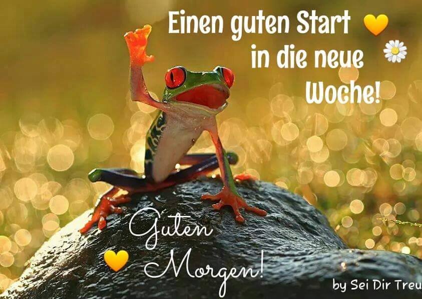 Neue woche die guten start guten morgen in und ein Ein liebes