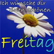 Freitag