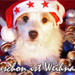 Bald Ist Weihnachten